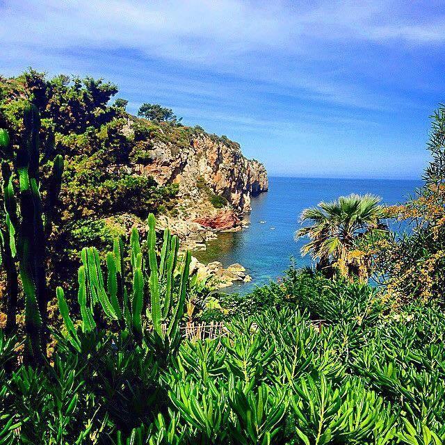 Casa Rosanna Hotell Terrasini Rom bilde